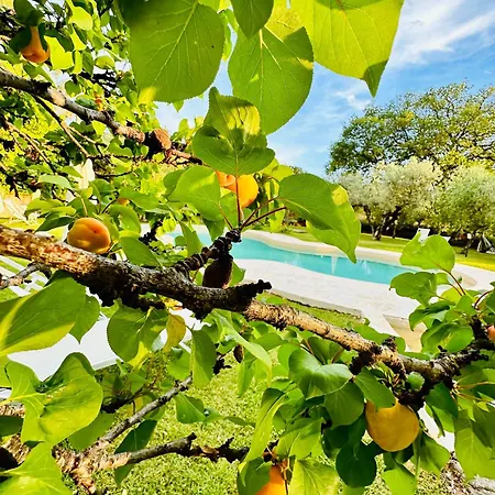 Podere Valdo