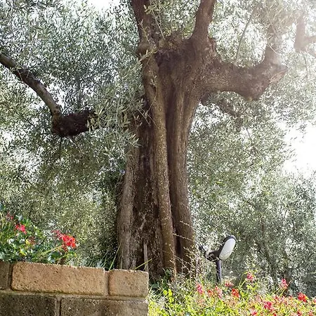 Podere Valdo Gavorrano